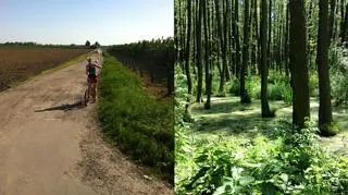 Odpoczynek od biegania kluczem do sukcesu