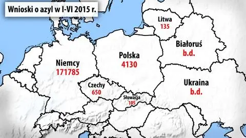 Imigranci zalewają Europę. Ilu uchodźców jest u sąsiadów Polski?
