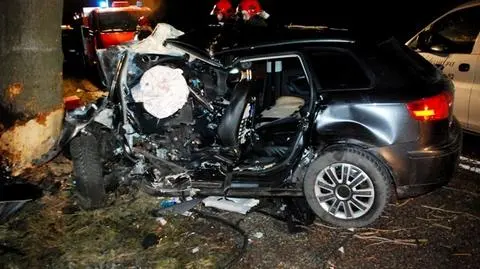Wypadł z drogi i uderzył w drzewo