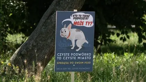Sąd nad wyprowadzaniem psów
