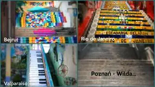 Ulepsz Poznań chce pomalować schody na Wildzie