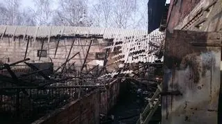 W sumie do walki z pożarem skierowano osiem wozów i 26 strażaków