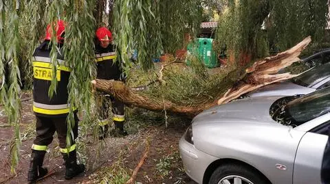 Firefighters had to intervene over 900 times due to storm and strong wind