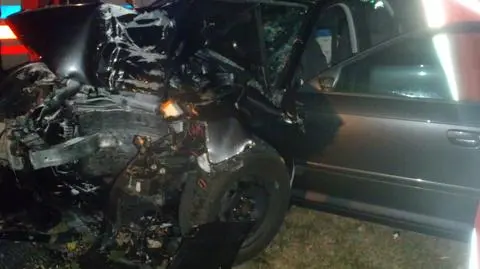 Audi uderzyło w drzewo. 17-latka zginęła na miejscu