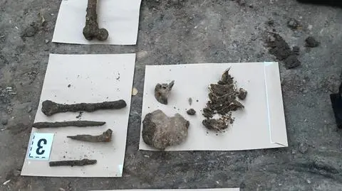 Szczątki ludzkie odnaleziono na terenie aresztu śledczego w Świdnicy