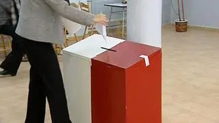 Brak sondaży to wolny głos - zdaje się mówić PSL
