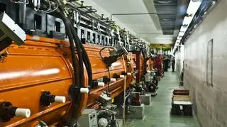 CERN ogłosił odkrycie