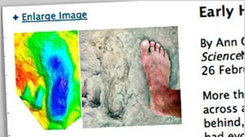 Odcisk stopy sprzed 
1,5 mln lat