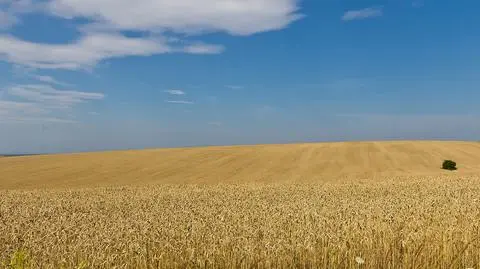 Poważny problem Ukrainy? Media: Chiny zgłaszają się po 3 mld dolarów