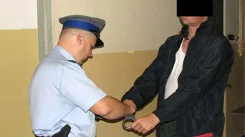 Kradli w kraju i za granicą. Schwytani