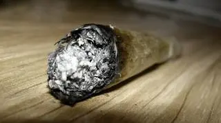 Wśród chorych 81 proc