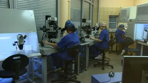 Aaa komórkę jajową sprzedam