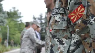Ćwiczenia macedońskiej armii, 2008 rok
