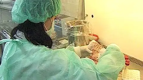 Indonezyjscy naukowcy pracują nad szczepionką przeciw ptasiej grypie.
