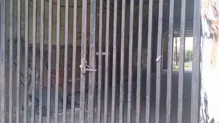 Trzy młode kobiety pobiły obcokrajowca w jednej z bram na Starym Rynku w Poznaniu. 
