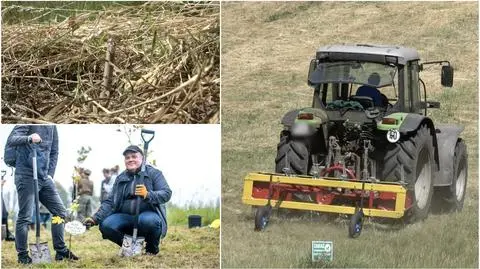 Razem z trawą skoszono drzewka. Pół roku temu sadzili je mieszkańcy
