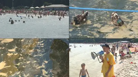 Po sinicach ani śladu. Można się już bezpiecznie kąpać