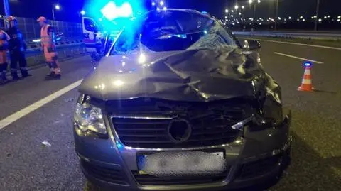 Gliwice. Policjant zginął na autostradzie A4 po zderzeniu z jeleniem