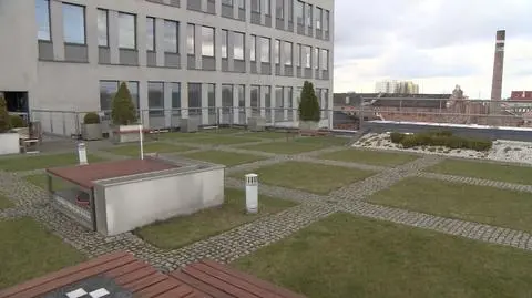 Łódzcy urzędnicy chcą tworzyć tzw. "zielone dachy"