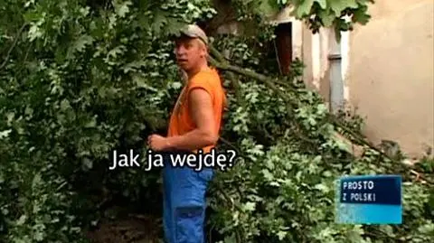 Zabronili ściąć drzewo, spadło na dom