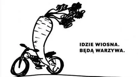 Dziewulski: to hasło budzi wściekłość