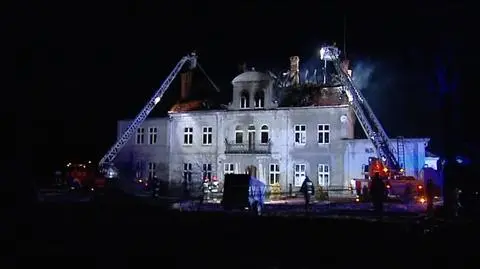 "Uratowaliśmy 570 koni. Znowu jesteśmy na kolanach"
