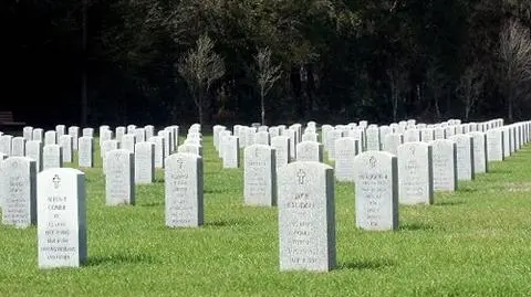 Proces za usunięcie mózgu