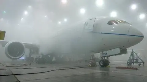 Dreamliner jest "porażką"