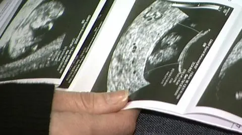 Opinia o konstytucyjności przepisów aborcyjnych