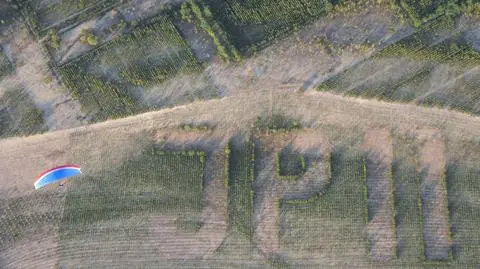 W lesie pod Bukownem drzewa tworzą napis JP II 