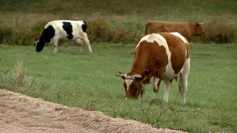 Ujawniono taśmę ze spotkania Jana Krzysztofa Ardanowskiego