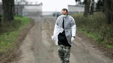Główny Lekarz Weterynarii: Nie ma żadnego zagrożenia