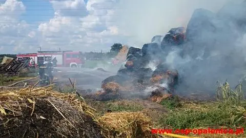 W dwa dni postawił na nogi 27 jednostek straży. 14-latek podpalał stogi siana