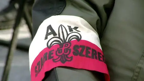 Kukiz'15 chce miesięcznego dodatku dla weteranów II wojny