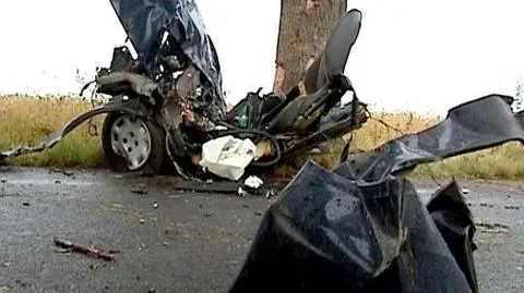 Seria śmierci na polskich drogach