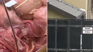Weterynarzom grozi do pięciu lat więzienia