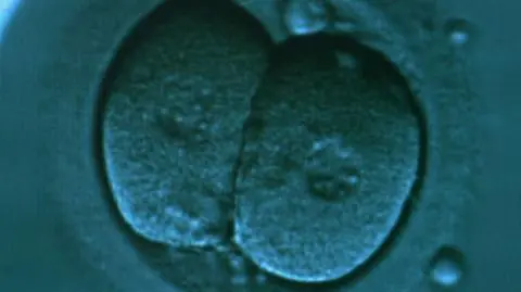 Pośpiech ws. ustawy o in vitro