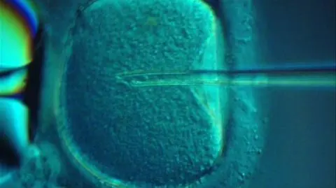 Ustawa o in vitro przyjęta