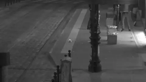 Wandale demolują miasto. Na ich czele krewki "kowboj". Wszystko się nagrało
