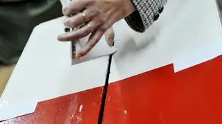 Kto wystartuje w opolskich wyborach? 