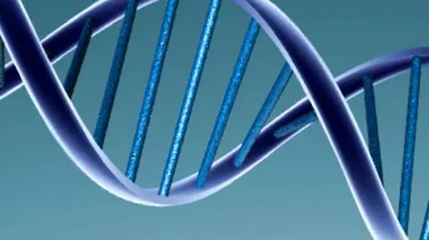 DNA można sfabrykować