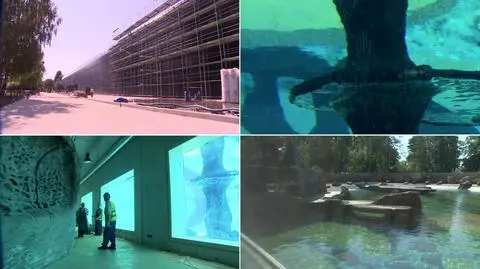 Miliony litrów wody i małe Morze Czerwone. 
Ostatnie szlify we wrocławskim Afrykarium