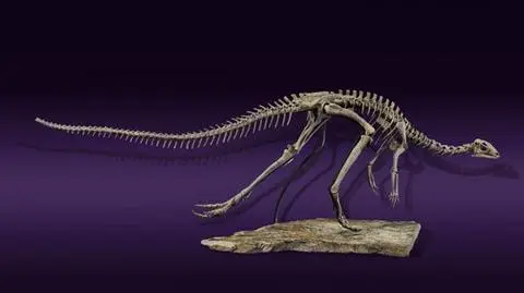 Dinozaur się nie sprzedał