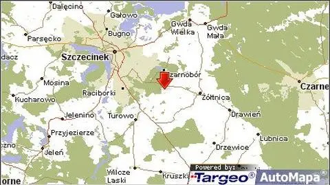 Czołówka z drzewem. Cztery osoby ranne