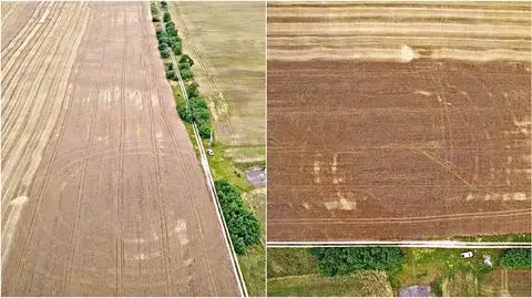 Obiekty pochodzą sprzed 7000 lat