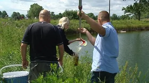 Według fińskiego raportu z hałdy może wyciekać nawet 540 ton fosforu rocznie