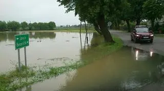Pięć budynków zostało zalanych w Noskowie koło Jarocina
