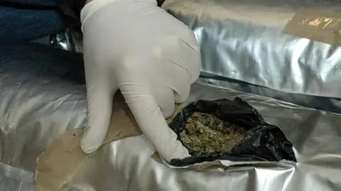 30 kg marihuany w rękach policji