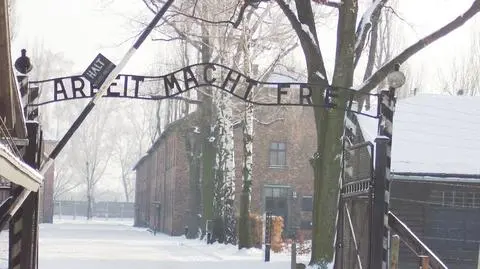 Studia będą dotyczyć Holokaustu