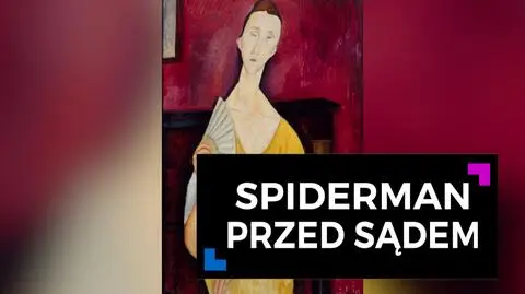 Spiderman przed sądem
